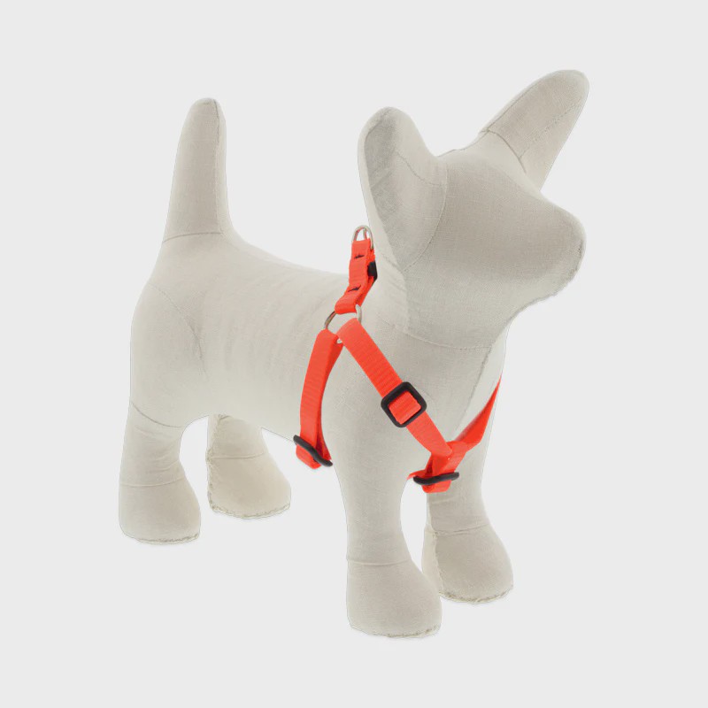 Dog Harness