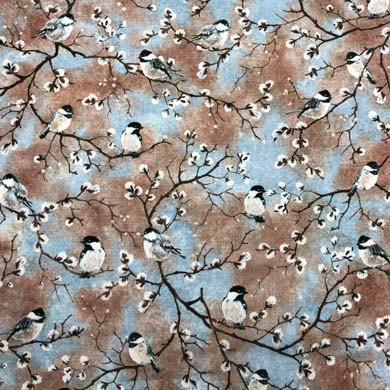 Alaska Birds
