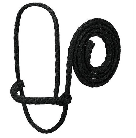 Halters and Leads