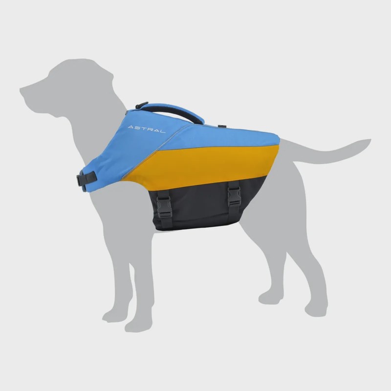 Astral Bird Dog Ol Blue S, front view
