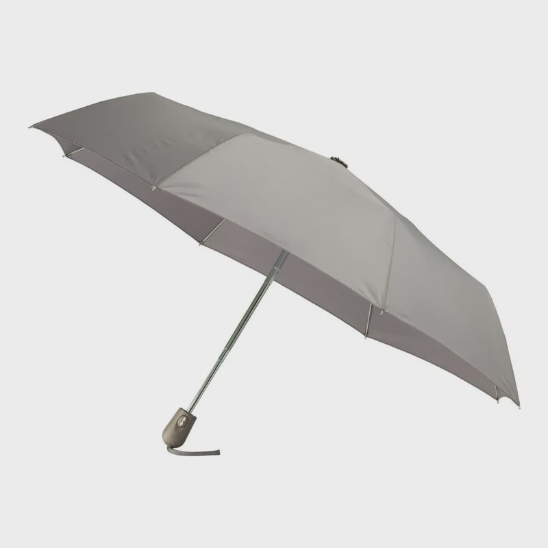 Automatic Umbrella, front view