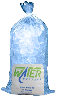 ICE