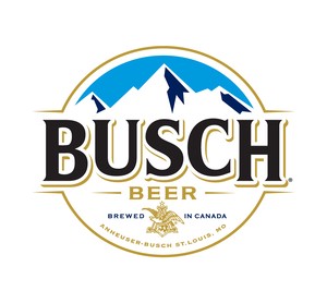 BUSCH LAGER 15PK CAN