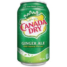GINGER ALE 355ML