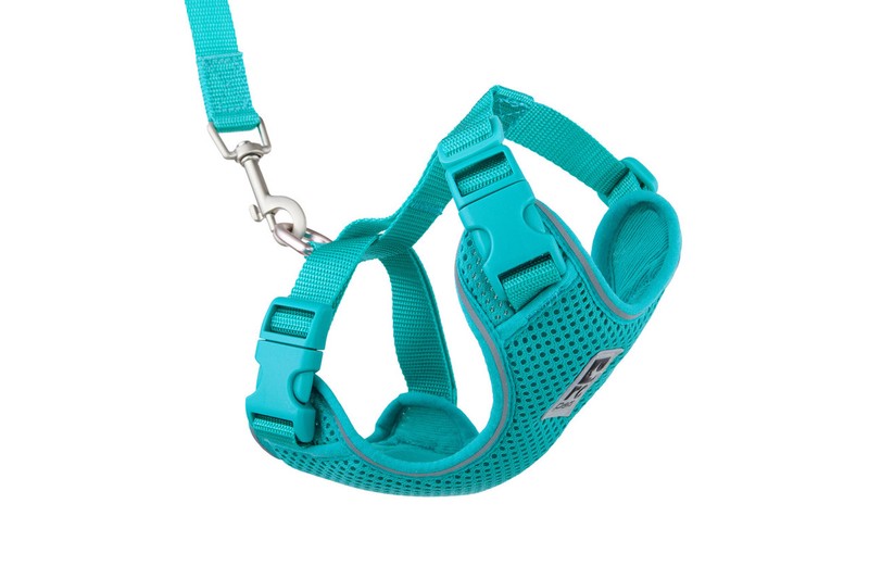 Cat Leashes &amp; Harness