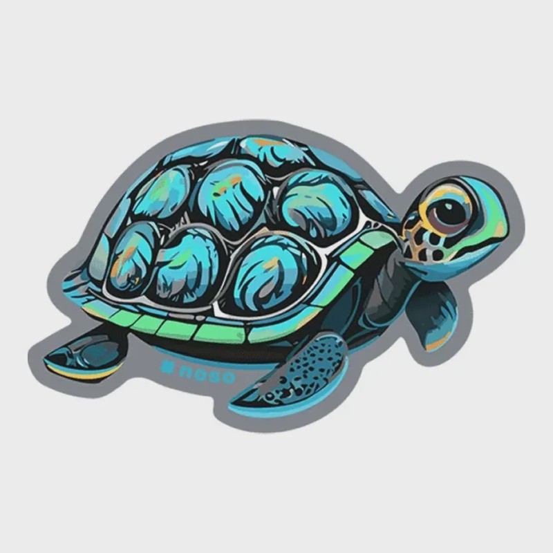 NoSo Turtle, front view