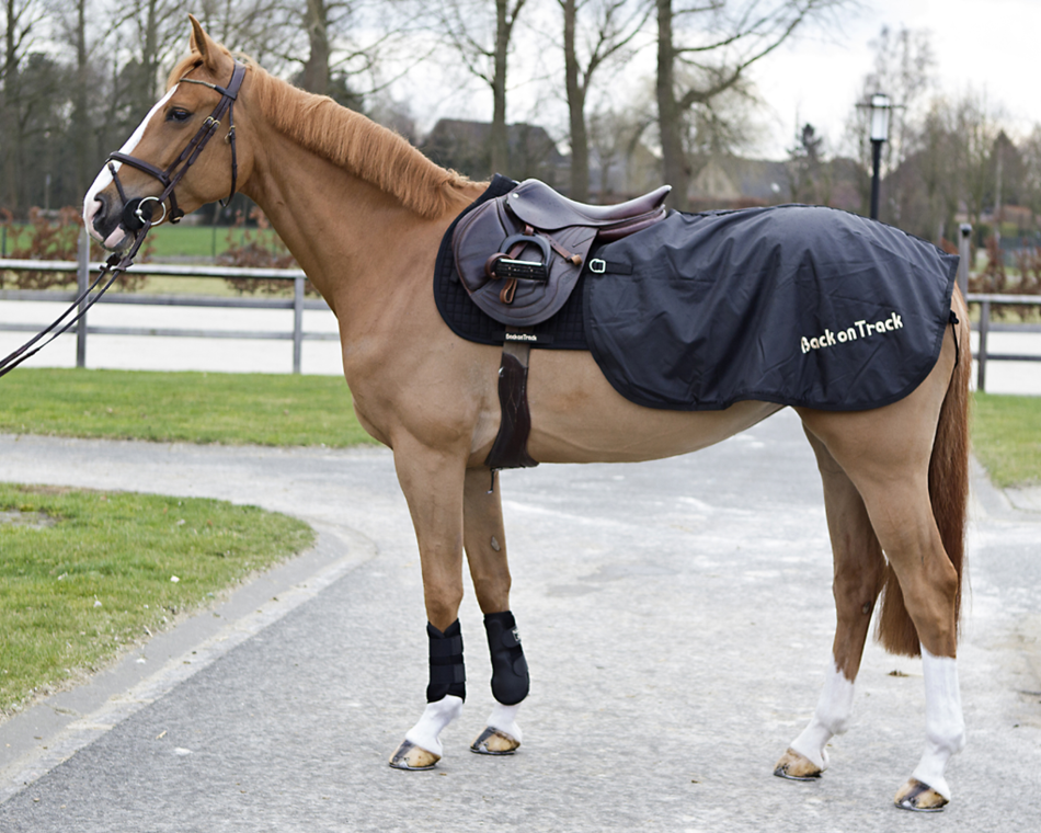 Back on Track Loin Blanket Summerside Tack and Equestrian Wear