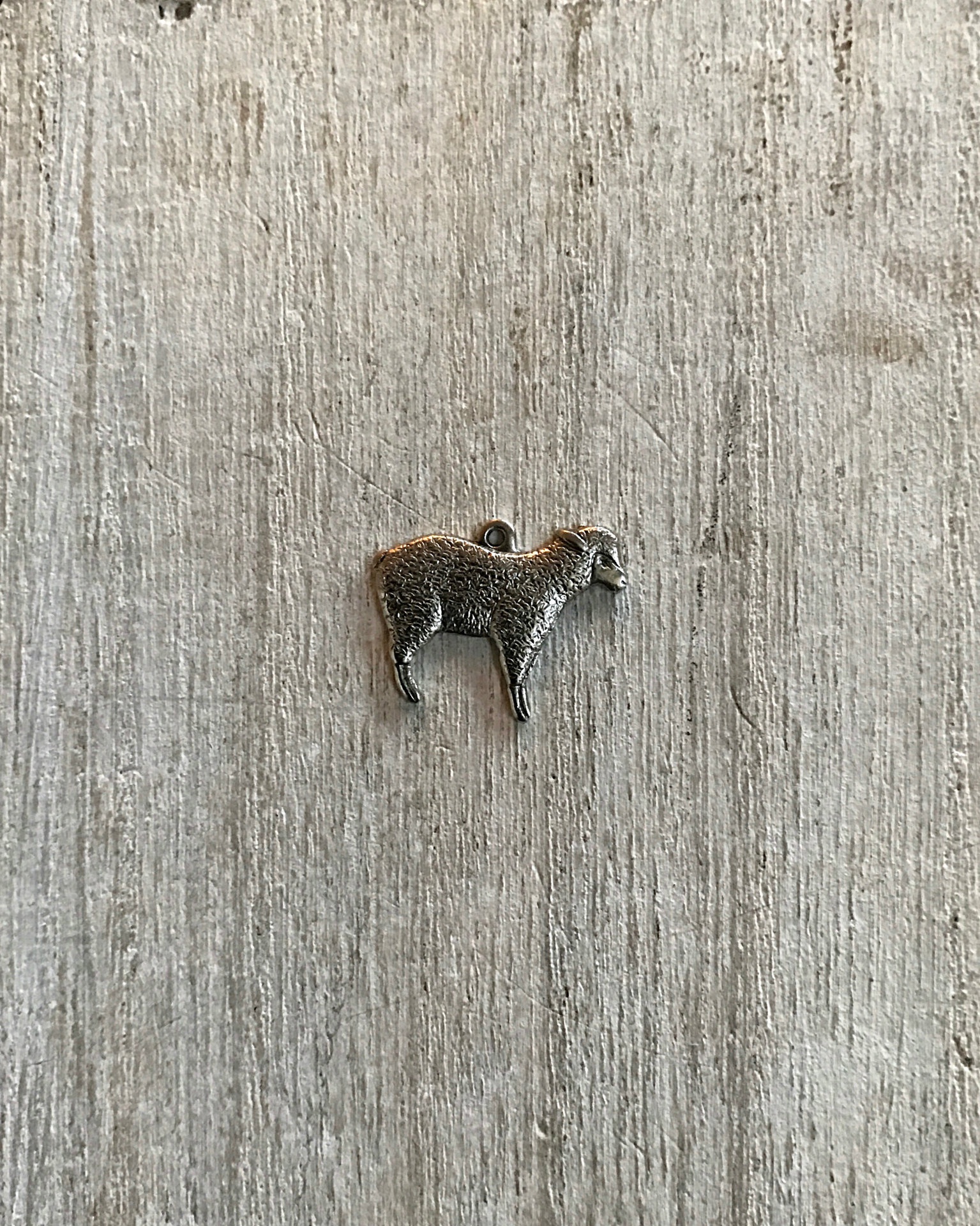 Lamb Charm