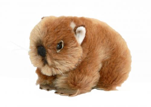 wombat teddy