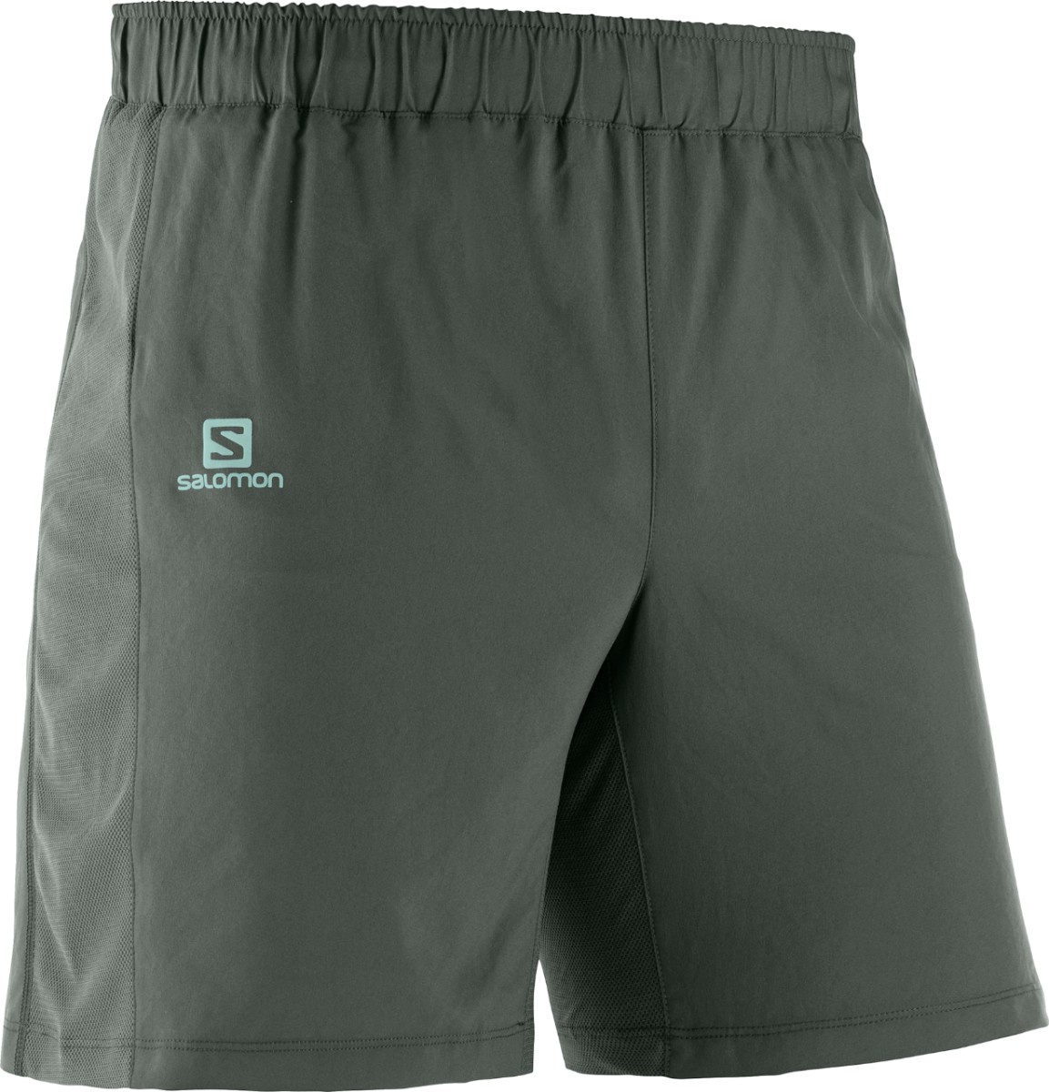 salomon trail shorts
