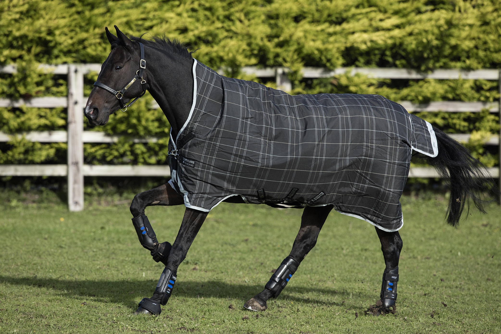 Horseware Rhino Wug Turnout Rainsheet Lite 0g Summerside Tack and Equestrian Wear