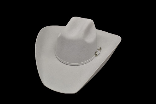 light grey cowboy hat