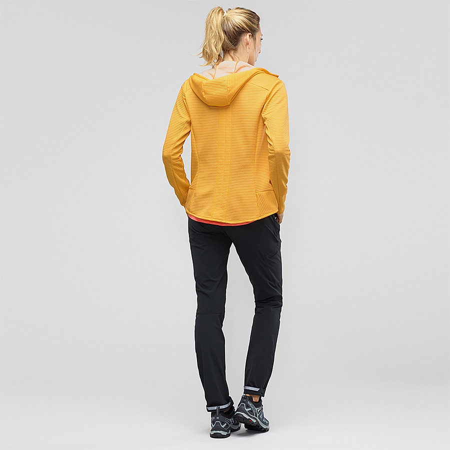 wayfarer tapered pant w