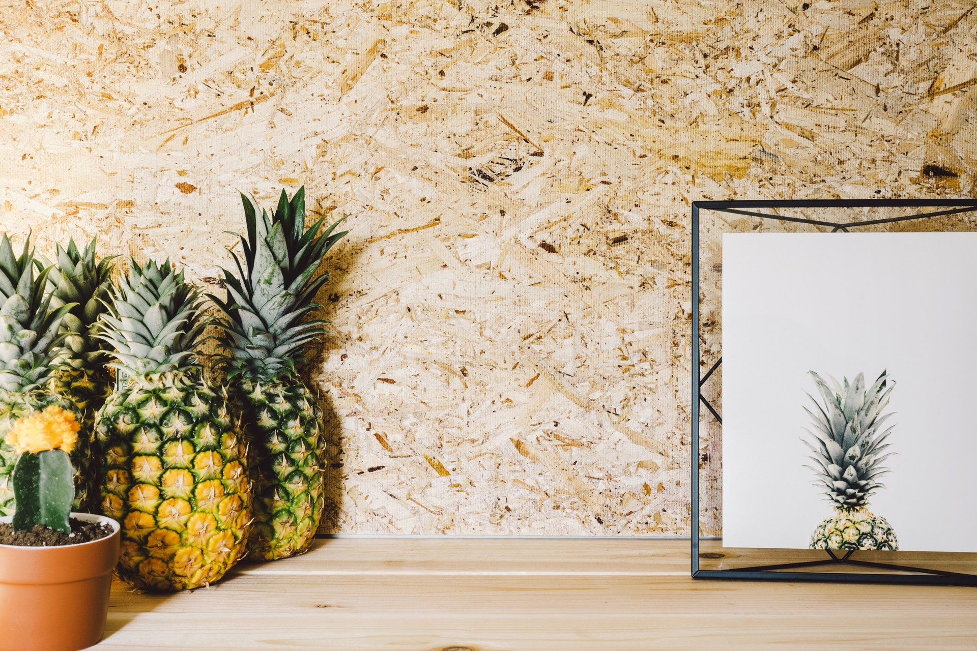 Pineapple Canvas