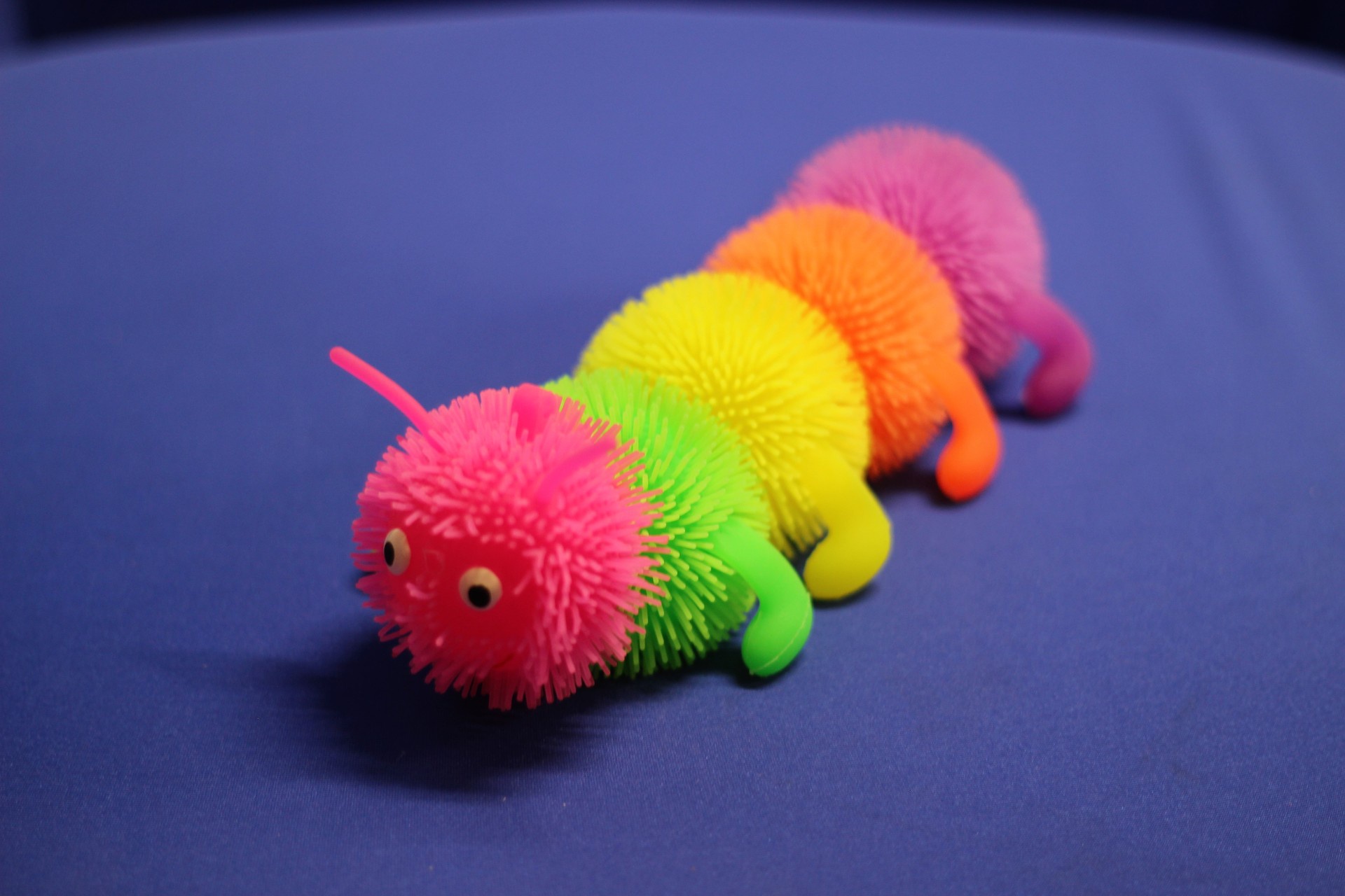 rainbow caterpillar toy