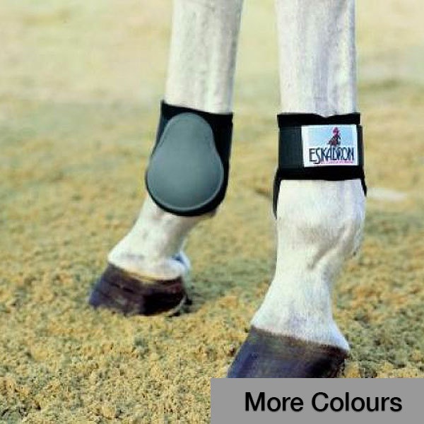 back boots for horses