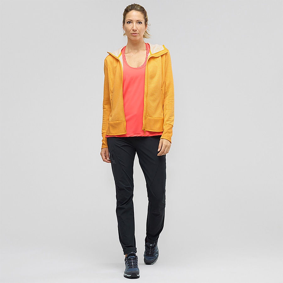 wayfarer tapered pant w
